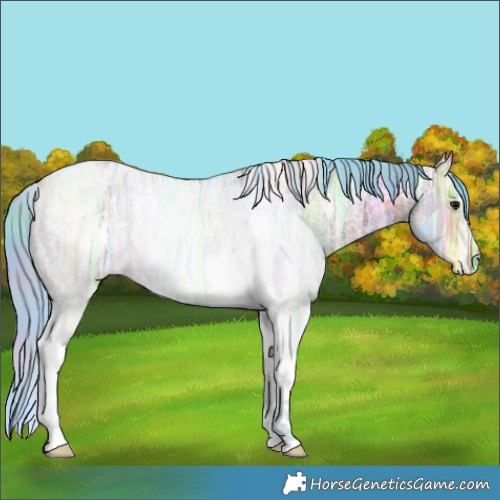 Horse Color:Nacre Watercolor Bay Ice Tobiano