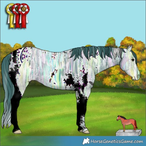 Horse Color:Watercolor White Spotted Black Ice Tobiano 