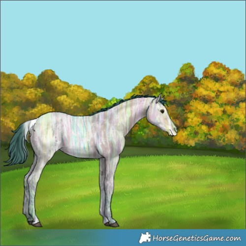 Horse Color:Watercolor White Spotted Brown Ice Dun 
