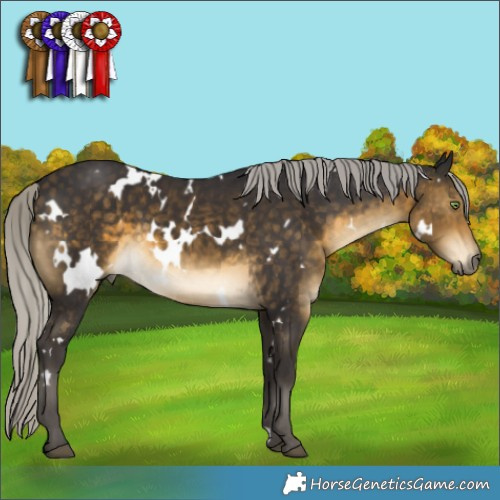 Horse Color:White Spotted Silver Buckskin 