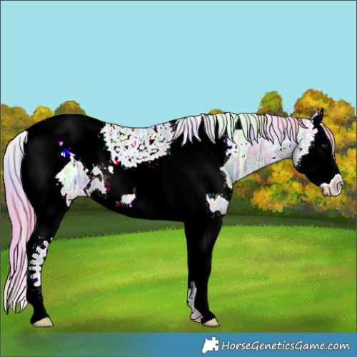 Horse Color:Nacre Watercolor White Spotted Bay Ice Dun Splash Tobiano 
