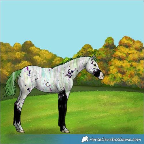 Horse Color:Watercolor White Spotted Brown Ice Dun Splash