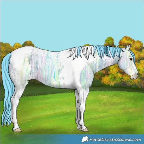 Horse Color:Watercolor Brown Ice Dun Tobiano 