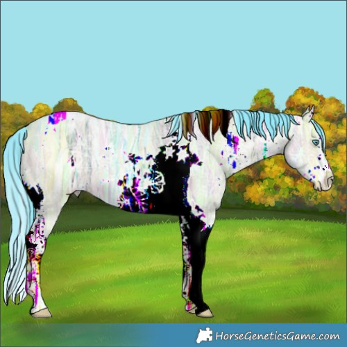 Horse Color:Watercolor White Spotted Brown Ice Dun Splash Tobiano 