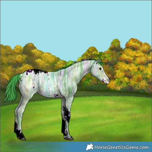 Horse Color:Watercolor White Spotted Bay Ice Splash Tobiano
