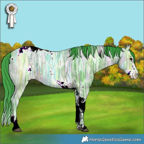 Horse Color:Watercolor White Spotted Bay Ice Splash Tobiano 