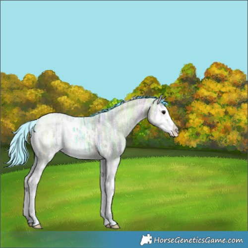 Horse Color:Watercolor White Spotted Brown Ice Dun Splash 