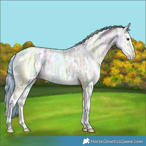 Horse Color:Nacre Watercolor White Spotted Brown Ice Dun Splash 