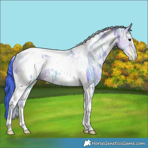 Horse Color:Watercolor White Spotted Bay Ice Tobiano