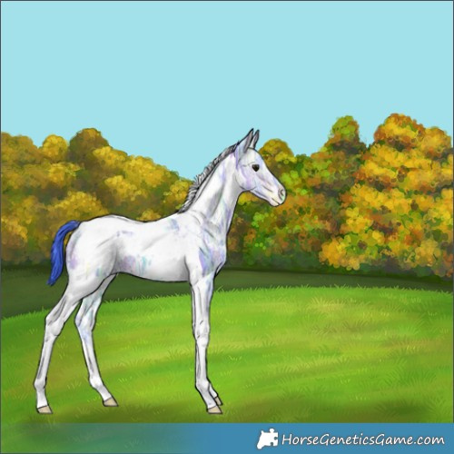 Horse Color:Watercolor White Spotted Bay Ice Tobiano 