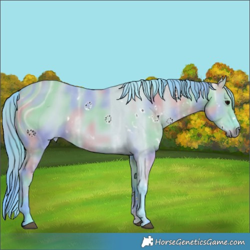 Horse Color:ERROR: UNKNOWN ANOMALY