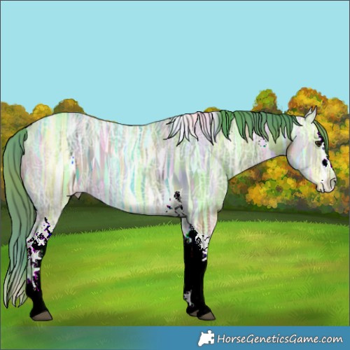 Horse Color:Nacre Watercolor Brown Ice Dun Splash Tobiano