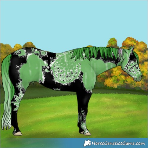 Horse Color:Watercolor Black Ice Splash Tobiano
