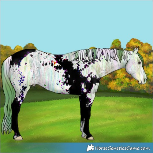 Horse Color:Nacre Watercolor White Spotted Brown Ice Dun Tobiano 