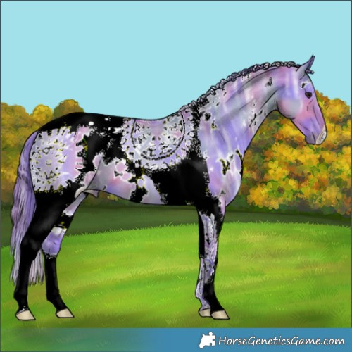 Horse Color:Nacre Watercolor White Spotted Brown Ice Dun Tobiano 