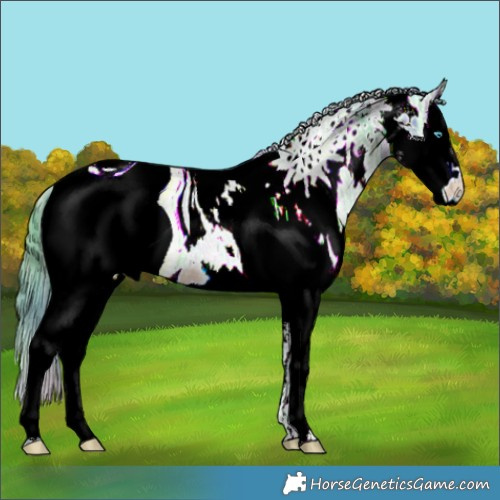 Horse Color:ERROR: UNKNOWN ANOMALY
