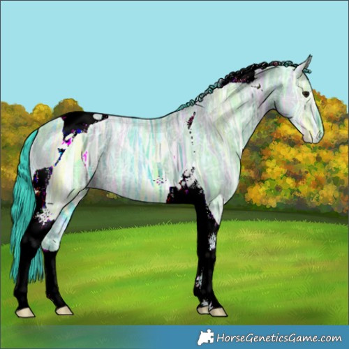 Horse Color:Watercolor Grullo Ice Tobiano 