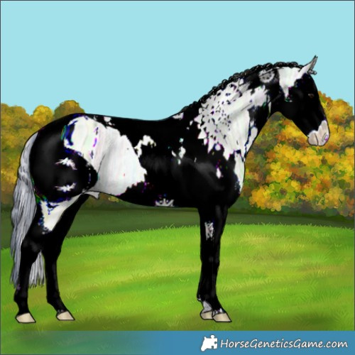 Horse Color:ERROR: UNKNOWN ANOMALY