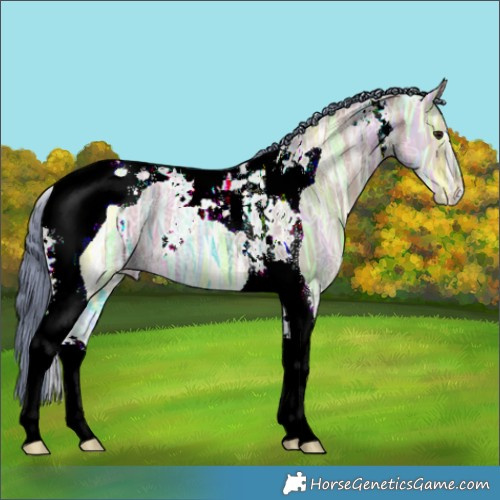 Horse Color:Watercolor Brown Ice Dun Tobiano