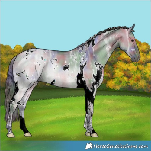 Horse Color:Nacre White Spotted Brown Ice Dun Tobiano 