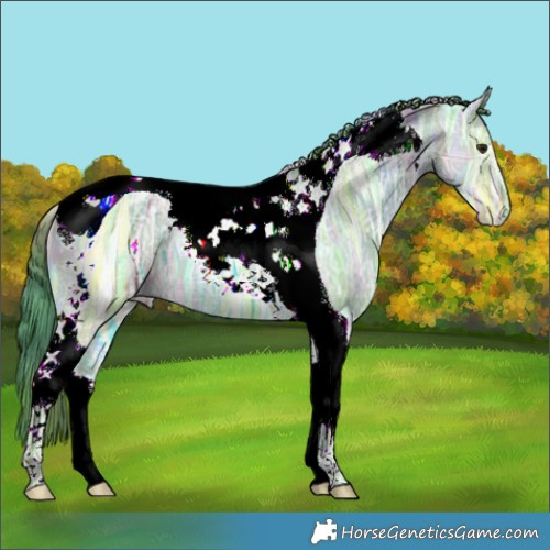 Horse Color:Nacre Watercolor Brown Ice Dun Tobiano