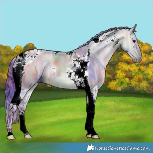 Horse Color:Nacre Watercolor Bay Ice Dun Tobiano 