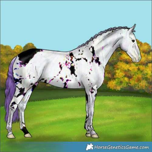 Horse Color:ERROR: UNKNOWN ANOMALY