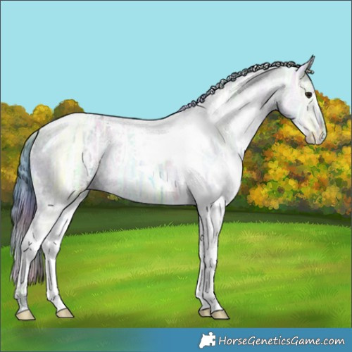 Horse Color:Nacre Watercolor White Spotted Brown Ice Dun Tobiano 