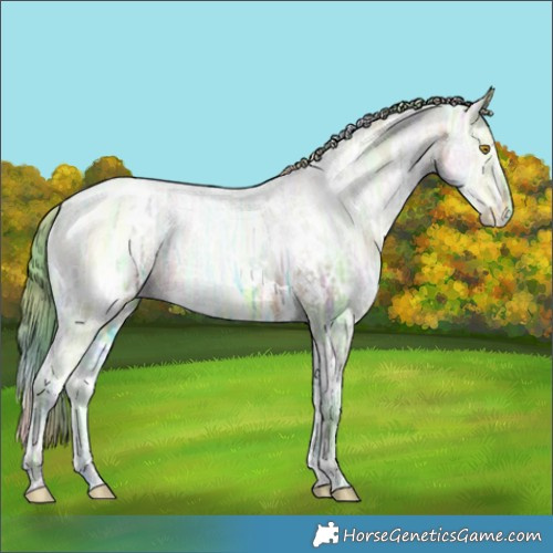 Horse Color:Nacre Watercolor White Spotted Bay Ice Pearl Dun 