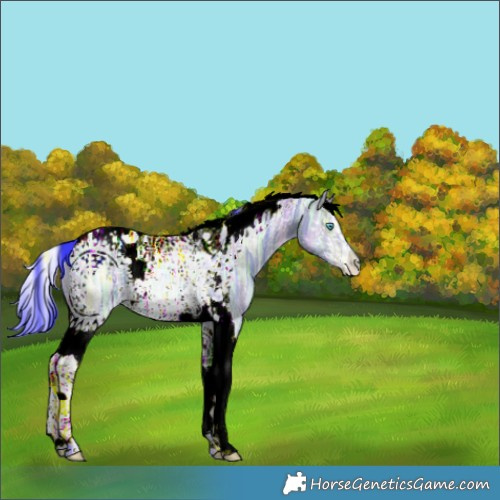 Horse Color:Watercolor Brown Ice Dun Splash Tobiano