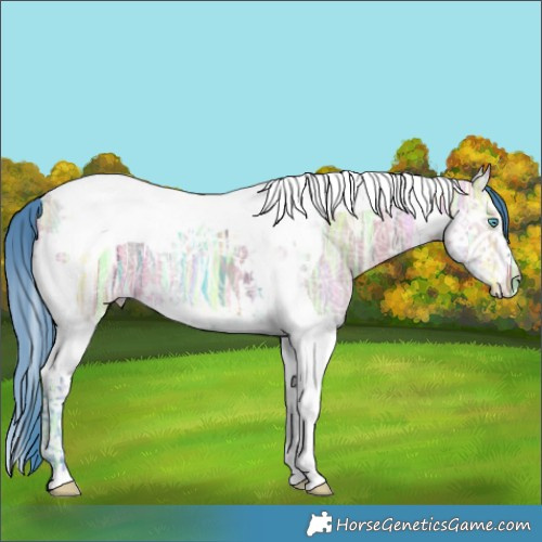 Horse Color:Watercolor Bay Ice Dun Splash Tobiano