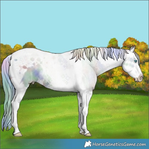 Horse Color:Nacre Watercolor Brown Ice Pearl Dun Splash Tobiano 