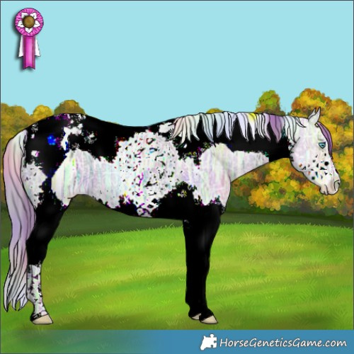 Horse Color:Nacre Watercolor Bay Ice Pearl Dun Splash Tobiano 
