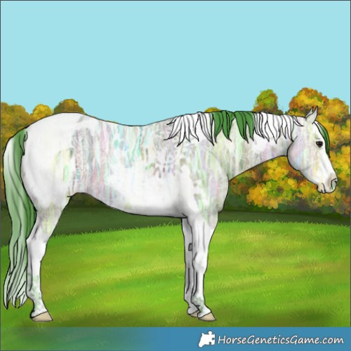 Horse Color:Watercolor White Spotted Brown Ice Dun Splash Tobiano 