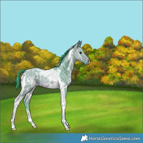 Horse Color:Watercolor White Spotted Bay Ice Dun Tobiano 