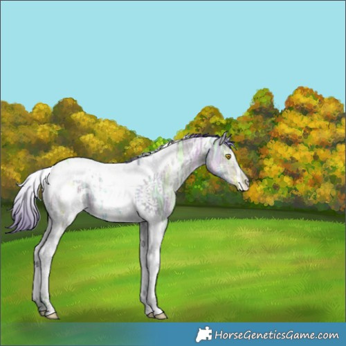 Horse Color:Watercolor White Spotted Brown Ice Pearl Dun Tobiano