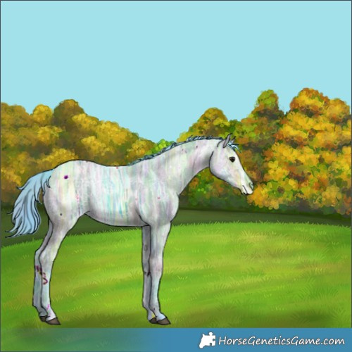 Horse Color:Nacre Watercolor White Spotted Brown Ice Dun