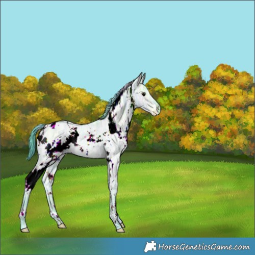 Horse Color:Nacre Watercolor White Spotted Brown Ice Dun 