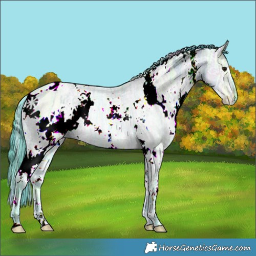 Horse Color:Nacre Watercolor White Spotted Brown Ice Dun 