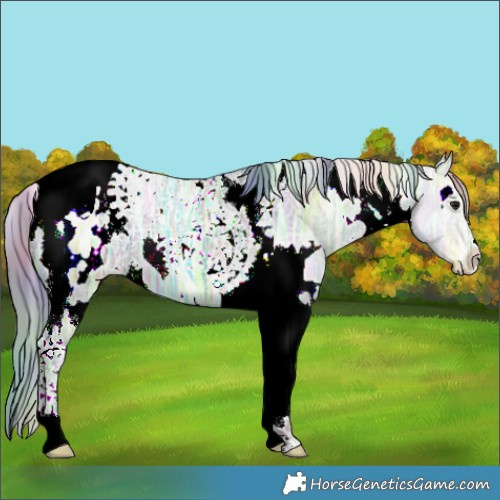 Horse Color:Nacre Watercolor White Spotted Brown Ice Dun Tobiano 
