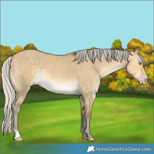Horse Color:Silver Sable Cream Champagne Dun Brindle