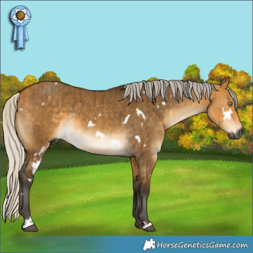 Horse Color:Gray White Spotted Silver Buckskin Dun Rabicano Brindle 