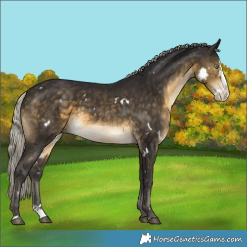 Horse Color:White Spotted Silver Buckskin Splash 