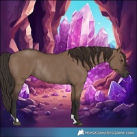 Horse Color:Liver Red Dun Rabicano