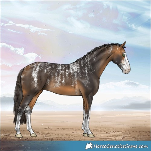 Horse Color:Powder White Buckskin 