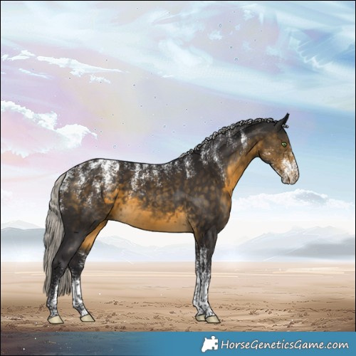 Horse Color:Powder White Silver Buckskin 