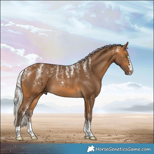Horse Color:Powder White Silver Buckskin 