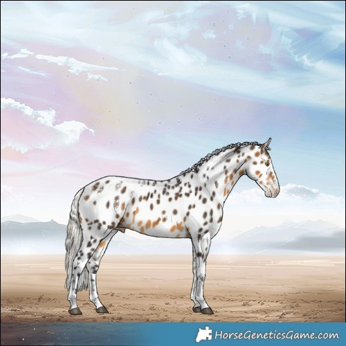 Horse Color:Powder White Silver Buckskin Appaloosa 