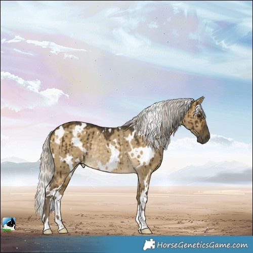 Horse Color:White Spotted Silver Buckskin Dun Rabicano Brindle 
