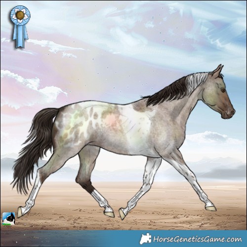 Horse Color:Liver Red Dun Roan Tobiano Blanket 